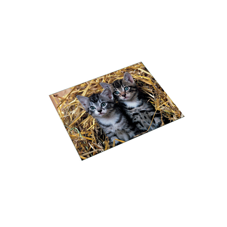 Schreibunterlage Motiv Katzen im Stroh, 40x53 cm, transparente Seitenleiste LÄUFER 46637 LÄUFER 46637 40x53 cm