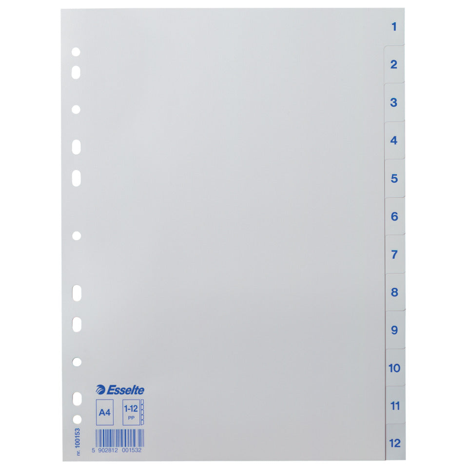 Plastikregister Economy 1-12, A4, PP, 12 Blatt, weiss ESSELTE 100153 ESSELTE 100153 Plastik 12tlg.