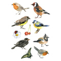 Sticker Aquarell Vögel, 30 Stück HERMA 3351 HERMA 3351 Decorsticker