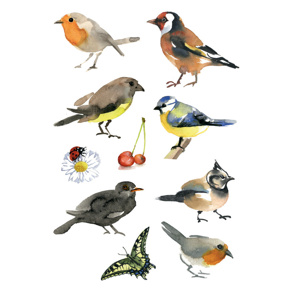 Sticker Aquarell Vögel, 30 Stück HERMA 3351 HERMA 3351 Decorsticker