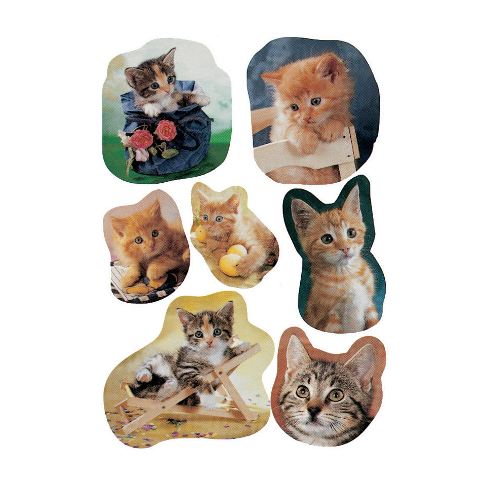 Sticker fotogene Kätzchen, 21 Stück HERMA 5747 HERMA 5747 Decor