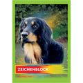 Zeichenblock, A3, 100g/m², lange Seite geleimt, 10 Blatt PVP 2215 PVP 2215/2250 m.Motiv