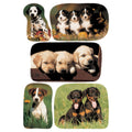 Sticker Hundewelpenfotos, 15 Stück HERMA 3528