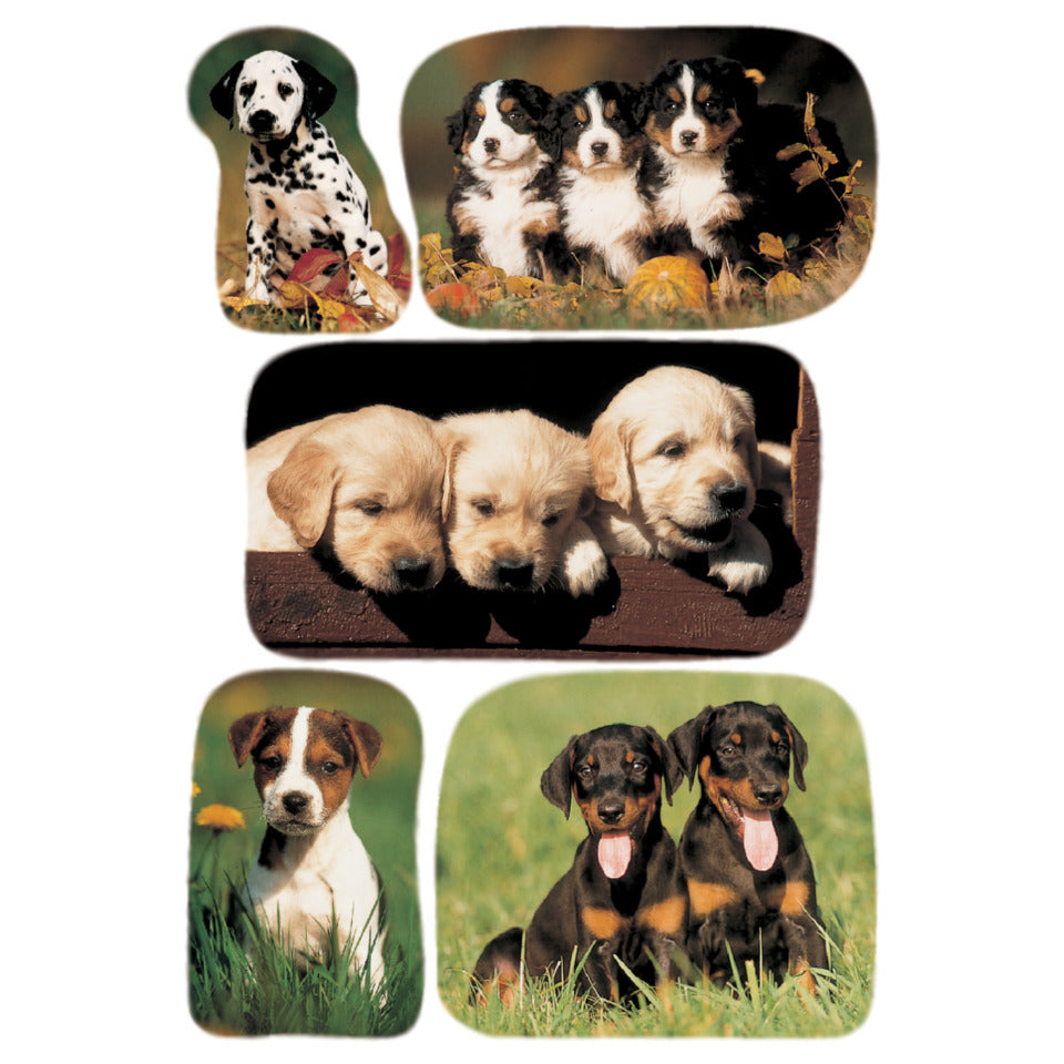 Sticker Hundewelpenfotos, 15 Stück HERMA 3528