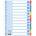 Kartonregister Standard Blanko, A4, Karton, 12 Blatt, weiss ESSELTE 100194 ESSELTE 100194 Karton fbg.Tabs
