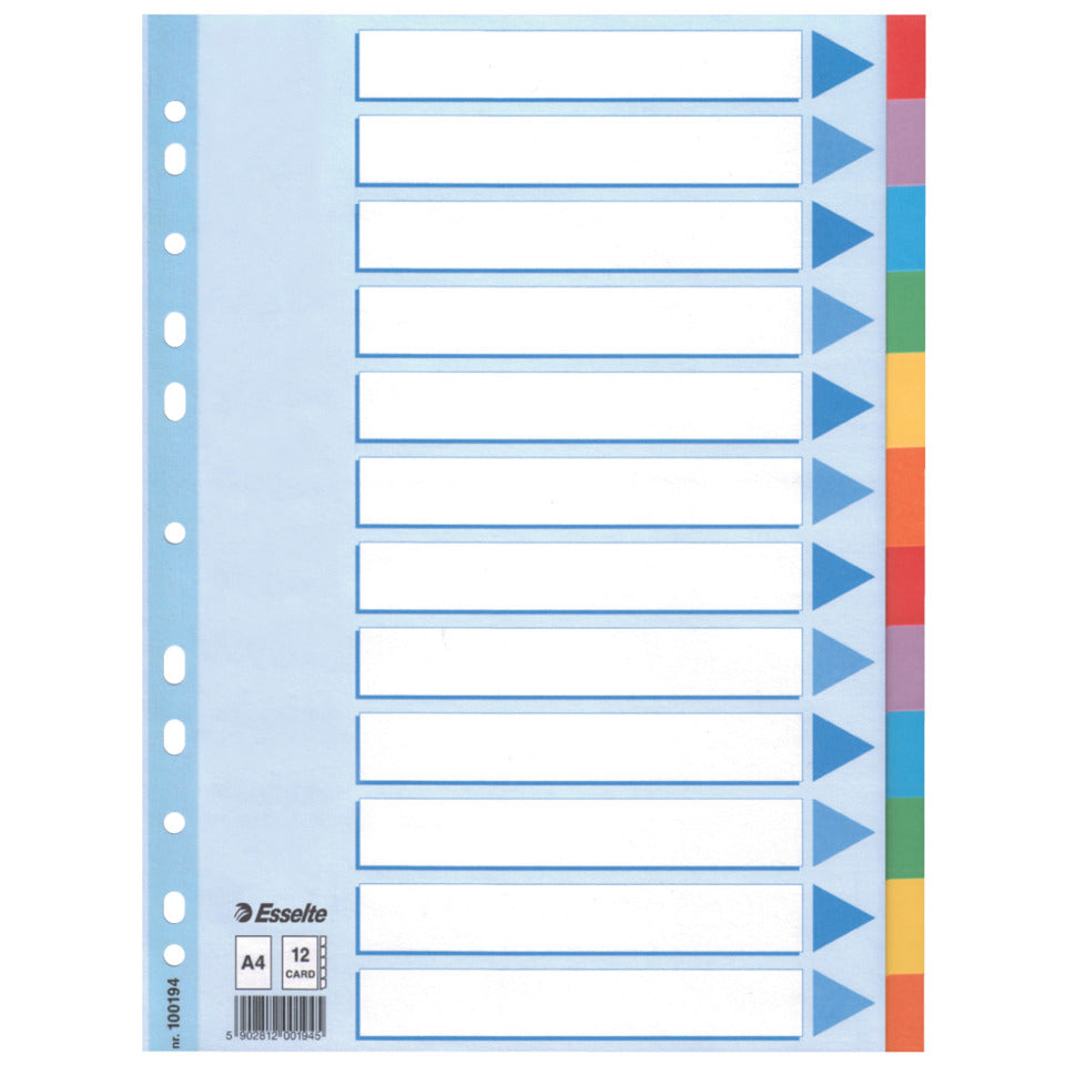 Kartonregister Standard Blanko, A4, Karton, 12 Blatt, weiss ESSELTE 100194 ESSELTE 100194 Karton fbg.Tabs