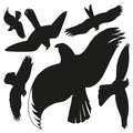 Hinweisetiketten Warnvögel, 6 Stück, schwarz AVERY ZWECKFORM 4485 ZWECKFORM 4485 versch. Gr. 6ST
