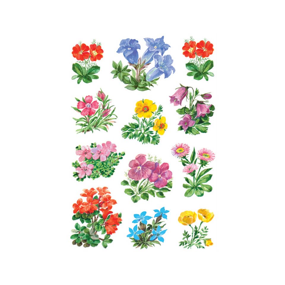 Sticker Gebirgsblumen, 36 Stück HERMA 3582
