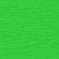 Krepppapier Aquarola, 50x250cm, hellgrün WEROLA 82061-4655 AQUAROLA 82061-4655