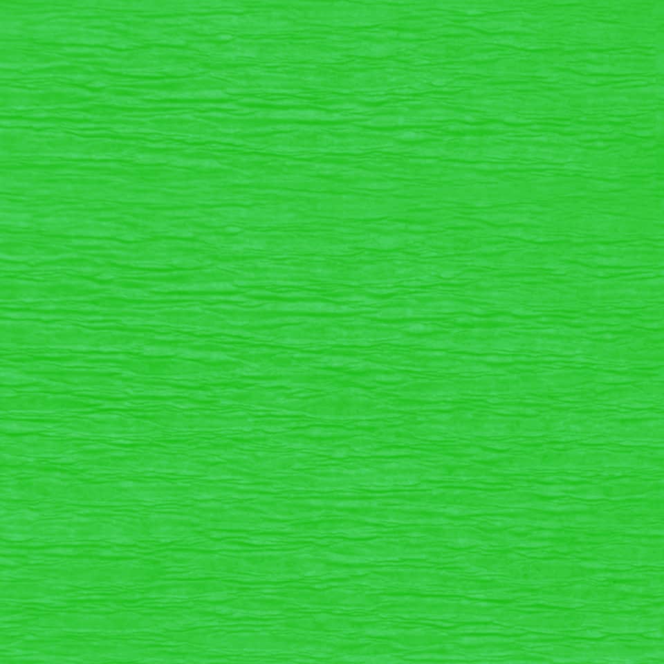 Krepppapier Aquarola, 50x250cm, hellgrün WEROLA 82061-4655 AQUAROLA 82061-4655