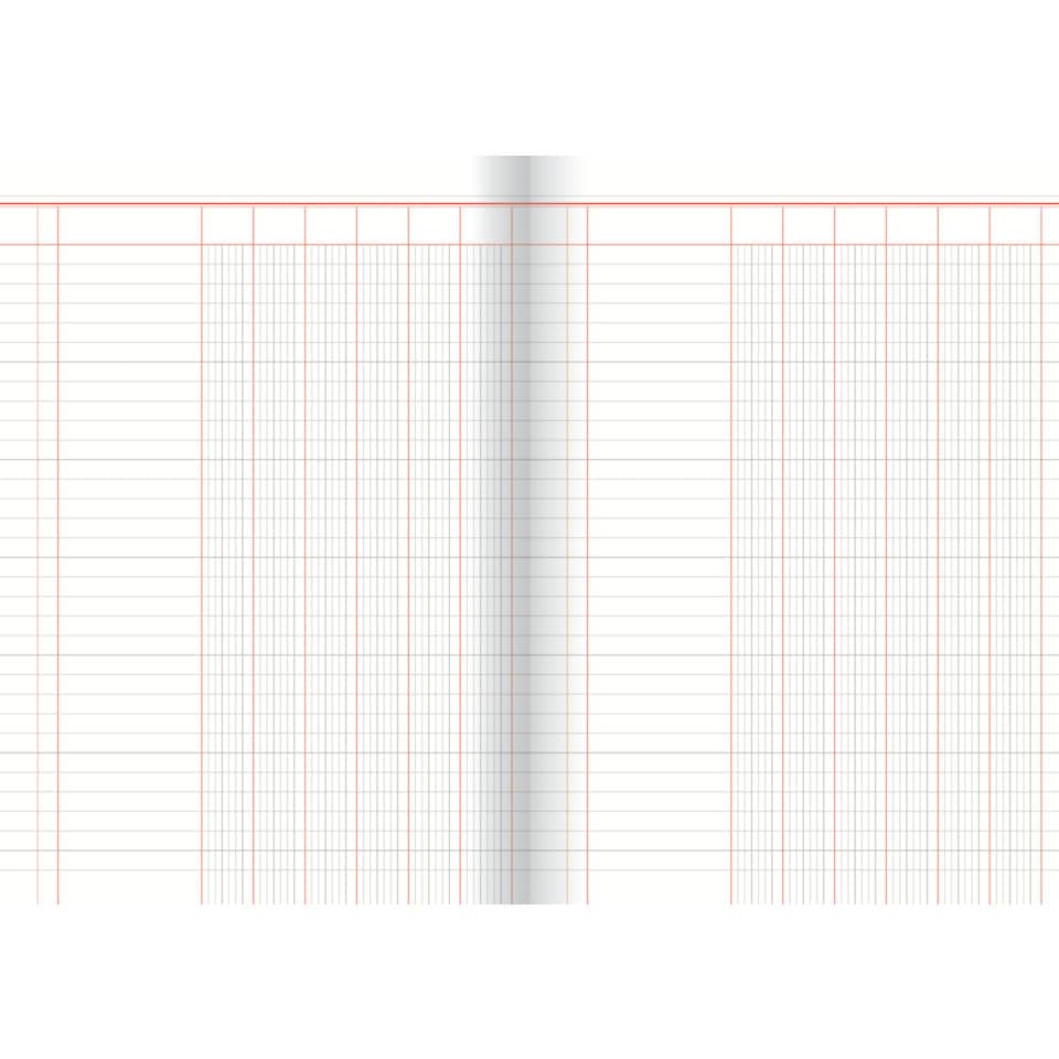 Spaltenbuch, A4, 6 Spalten/ 1 Seite, 30 Blatt, Karton, liniert, rot/grau, rot RNK 3406 RNK 3406 A4 30BL