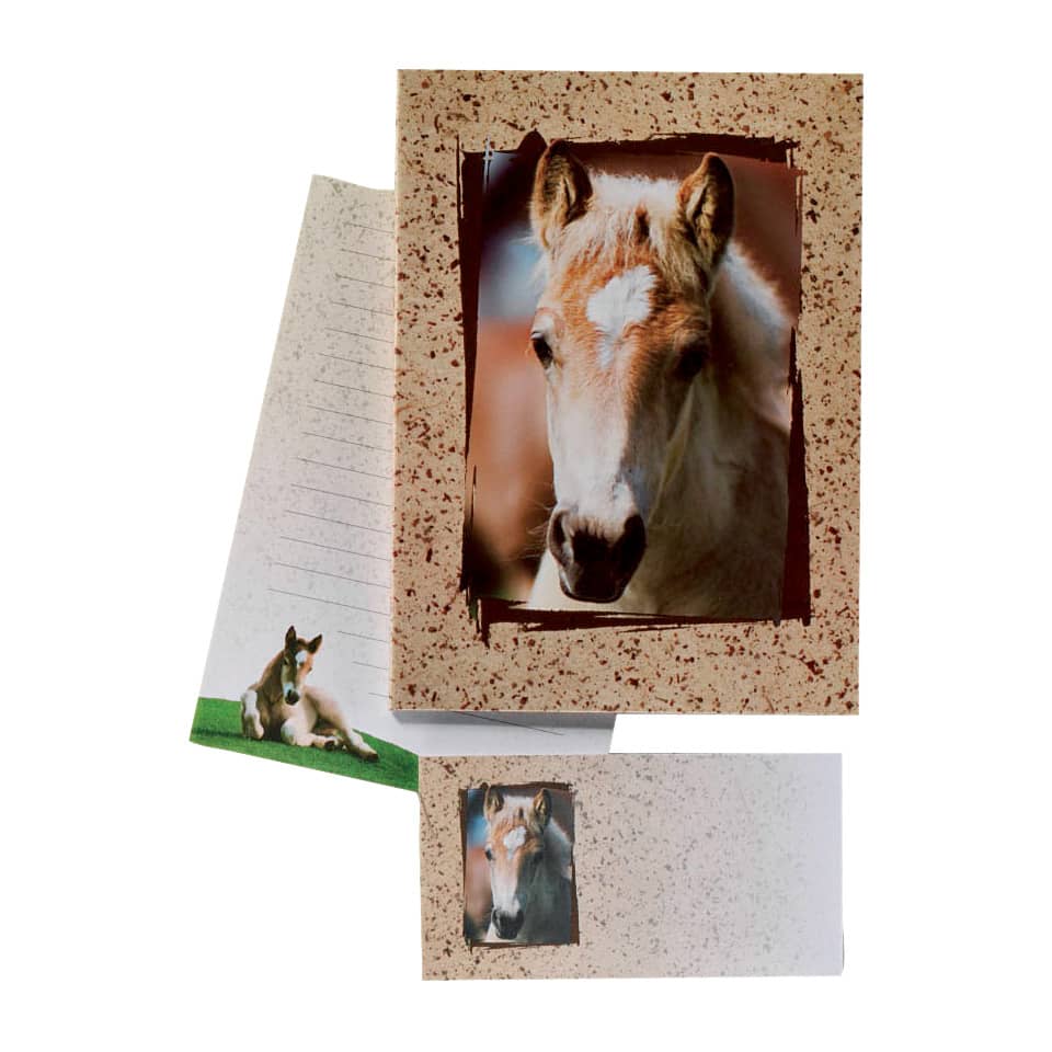 Briefpapier - Motiv Fohlen, liniert, 10 Umschläge/10 Briefbögen DFW 180344 DFW 180344 Fohlen liniert