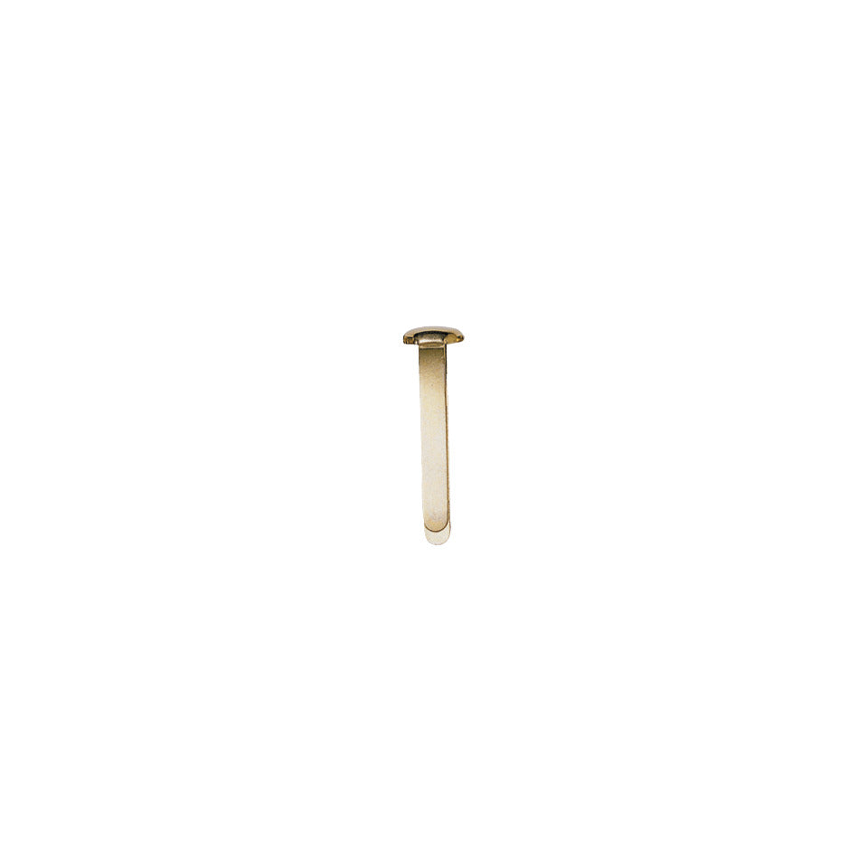 Musterbeutelklammer, aus Eisen vermessingt, 23 mm, No. 4, 100 Stück ALCO 341 ALCO 341 vermessingt 100ST