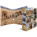 Ordner Afrika Tiere, A4, 70mm HERMA 7168