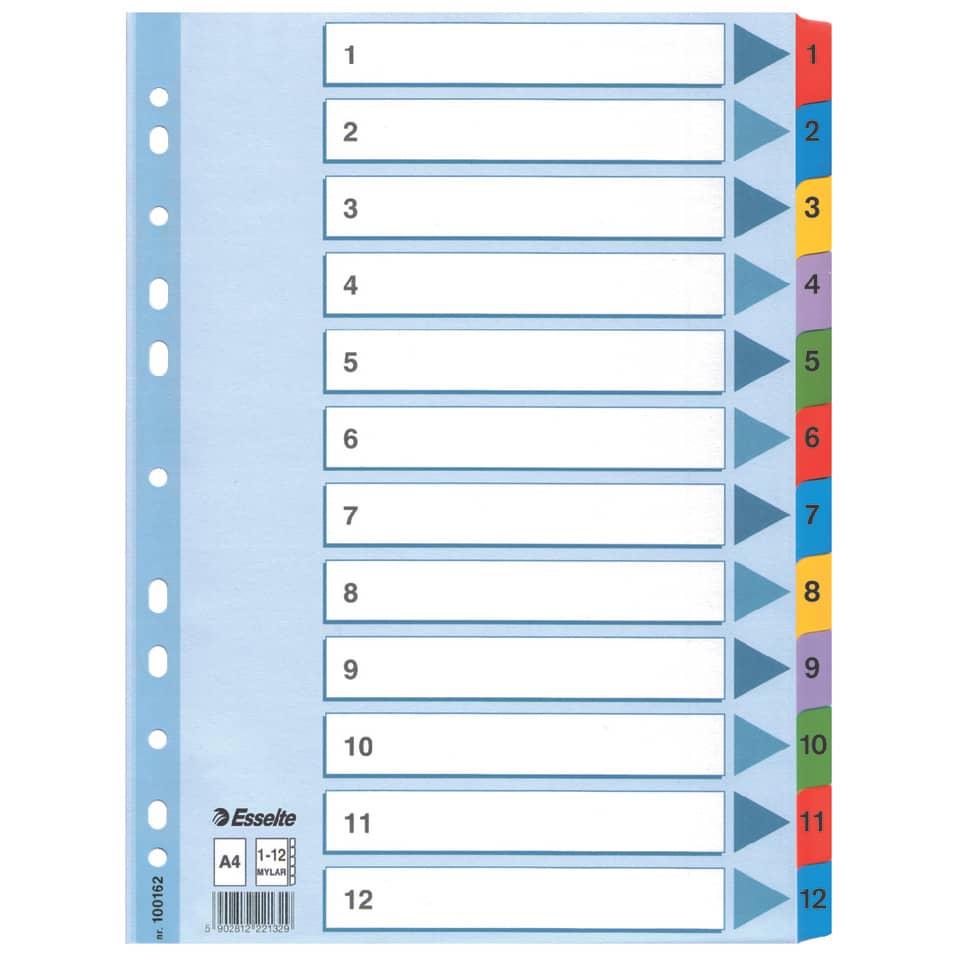 Kartonregister 1-12, A4, Karton, 12 Blatt, weiss ESSELTE 100162 ESSELTE 100162 Karton fbg.Tabs