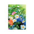 Allgemeine Karte ohne Text midi  Bild  45-4901 45-4901   Bild