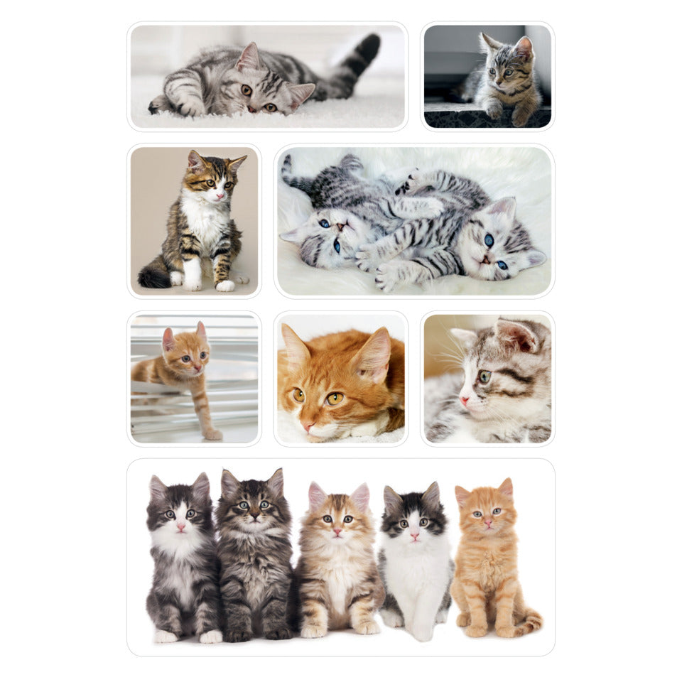 Sticker Katzenkinder, 24 Stück HERMA 15456 HERMA 15456 Decor