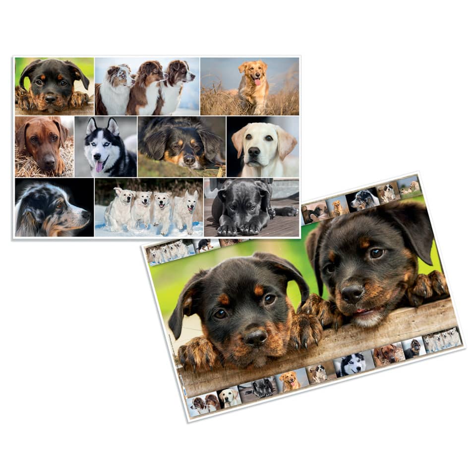 Schreibunterlage Hunde, 550x350mm HERMA 19378 HERMA 19378 55x35cm