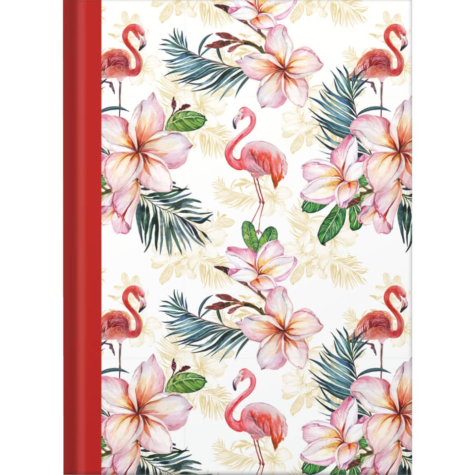 Notizbuch "Flamingo rot", A5, 96 Blatt, dotted RNK 46750 RNK 46750 A5/96BL punktiert