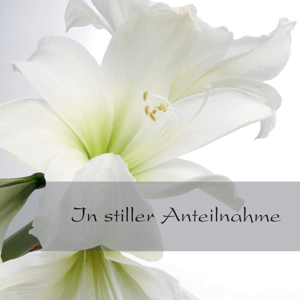 Trauerkarte Design Amaryllis, 10+10 Stück SIGEL DS006 SIGEL DS006 Trauer