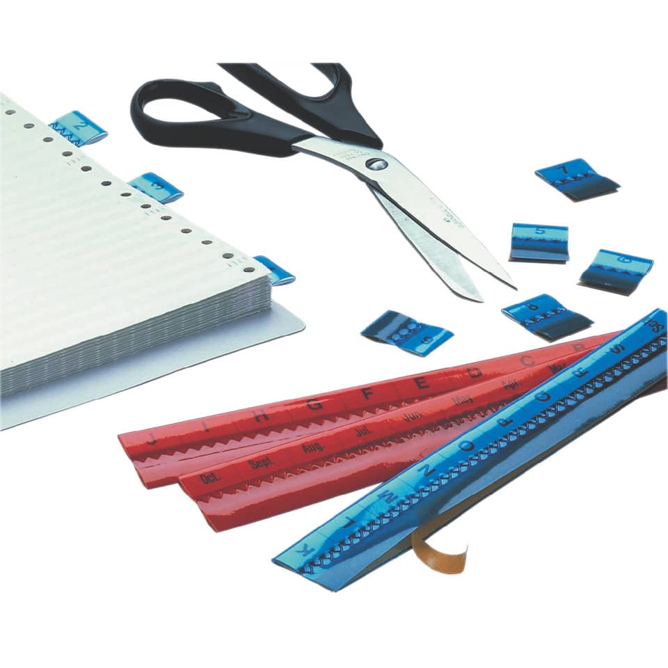 Selbstklebe-Vollsichtreiter TABFIX, 200 x 10 mm, 2-zeilig, transparent, 5 Stück DURABLE 840219 DURABLE 8402 19  5 Stück