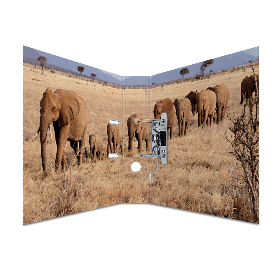 Ordner Afrika Tiere, A4, 70mm HERMA 7168