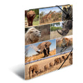 Sammelmappe Afrika Tiere, A3, Karton HERMA 19222 HERMA 19222 Pappe