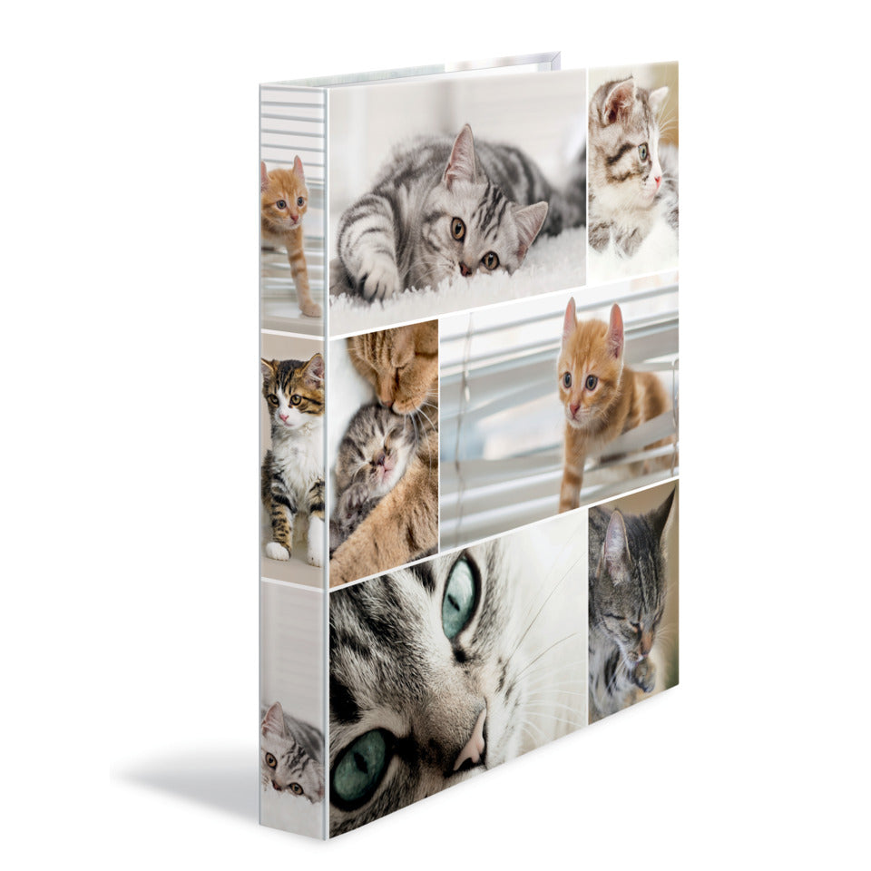 Ringbuch Katzen, A4, 2-Ring, 25mm HERMA 19428