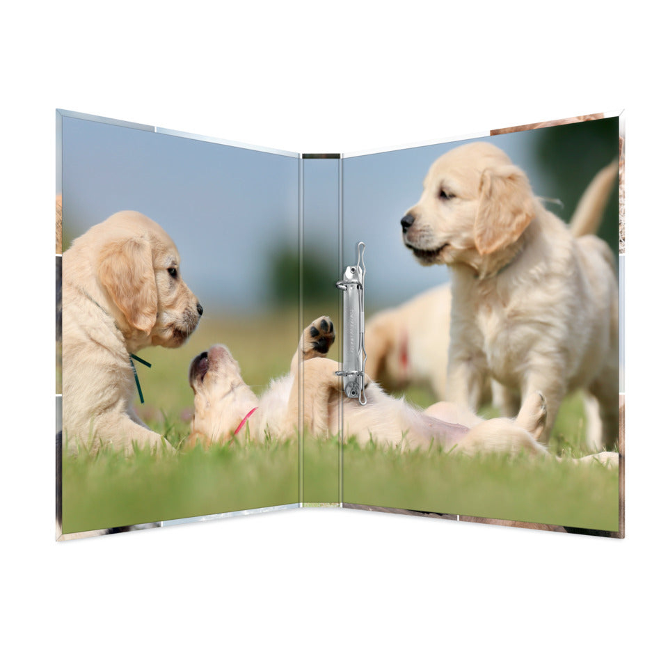 Ringbuch Hunde, A4, 2-Ring, 25mm HERMA 19427
