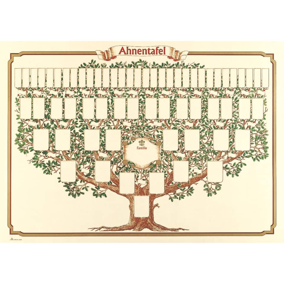 Ahnentafel 1-63 - 6 Generationen, 70 x 50 cm RNK 2808
