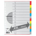 Kartonregister, DIN A4 Überbreite, 12-teilig, blanko, Karton, farbig, Universallochung PAGNA 32007-20 Pagna 3200720 überbreit