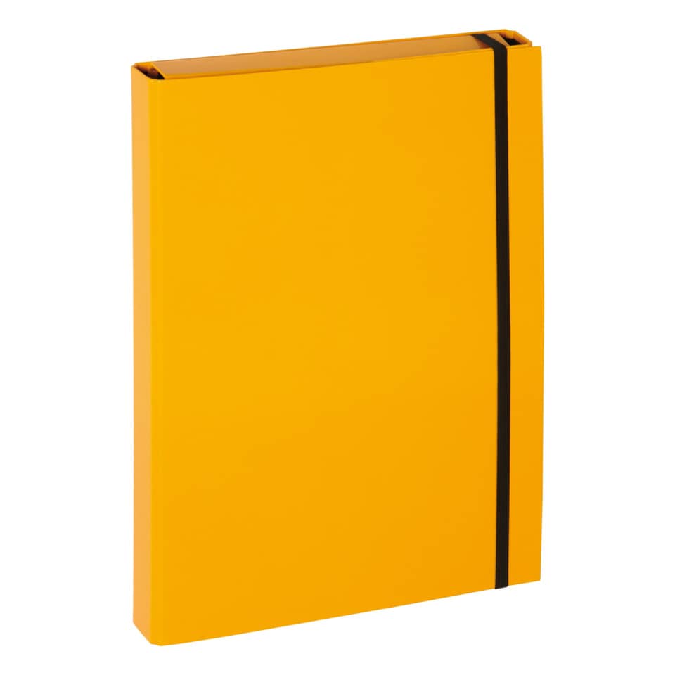 Heftbox Basic, A4, Gummizugverschluss, gelb PAGNA 21309-04 BASIC COLOURS 21309-04
