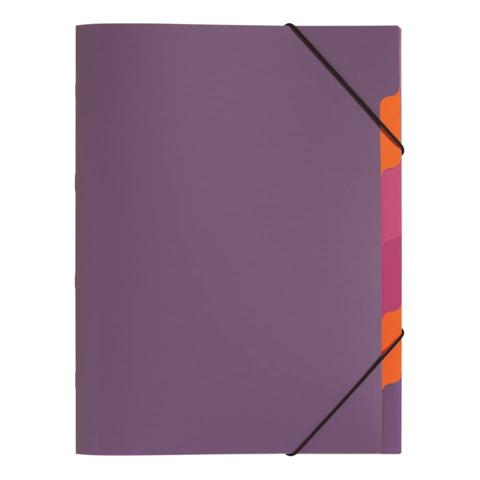 Ordnungsmappe Funky School, 6-teilig, PP, lila PAGNA 41803-12 PAGNA 41803-12 PP Funky School