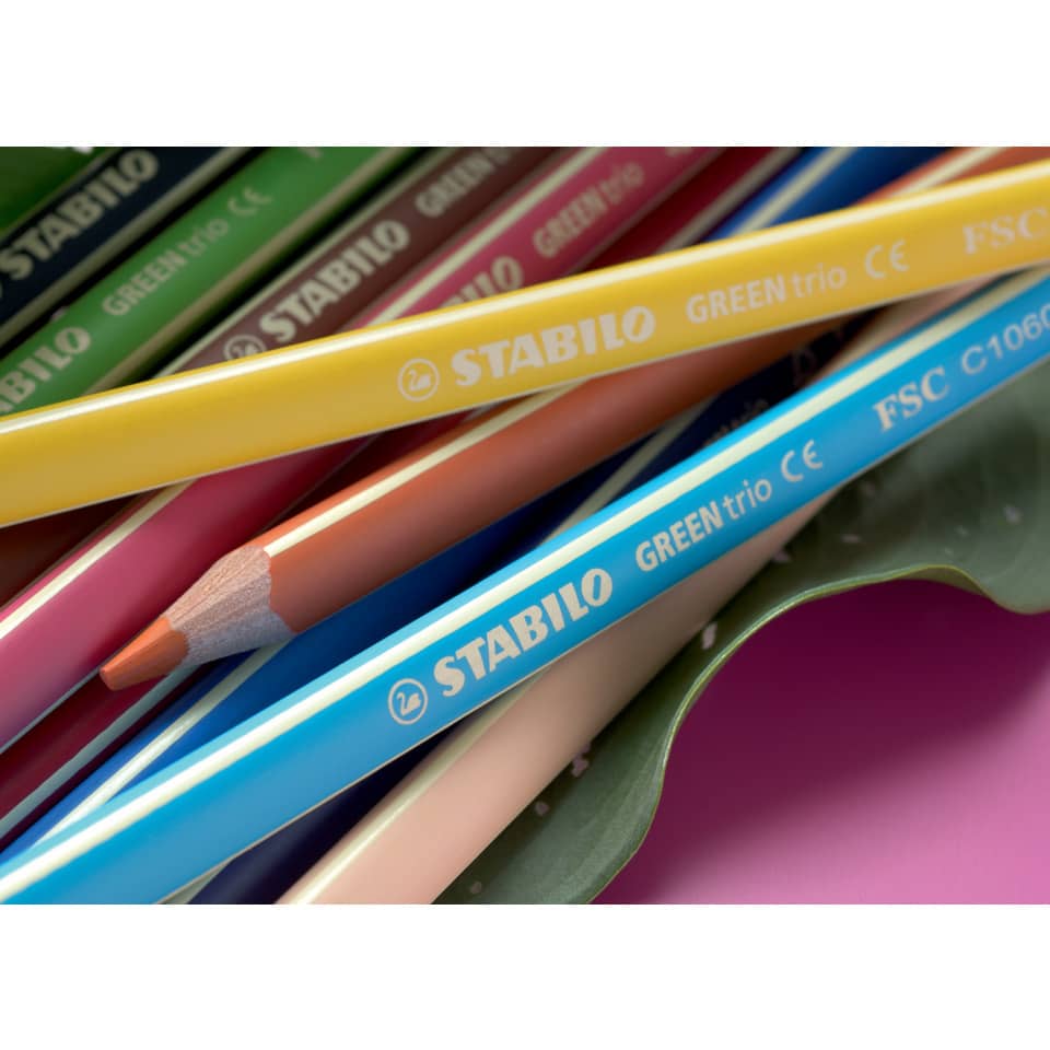 Farbstifte GREENtrio®, 12er Kartonetui STABILO 6203/12