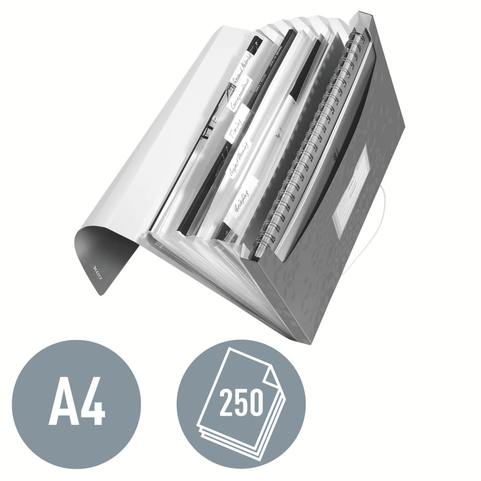 Fächermappe WOW, A4, 6 Fächer, grün LEITZ 4589-00-54 LEITZ 4589-00-54 PP 6 Fächer