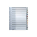 Plastikregister Blanko, A4, PP, 12 Blatt, grau LEITZ 1274-00-00