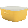 Schubladenset Cosy, 2 Schubladen, Polystyrol, gelb/hellgrau LEITZ 5357-00-19