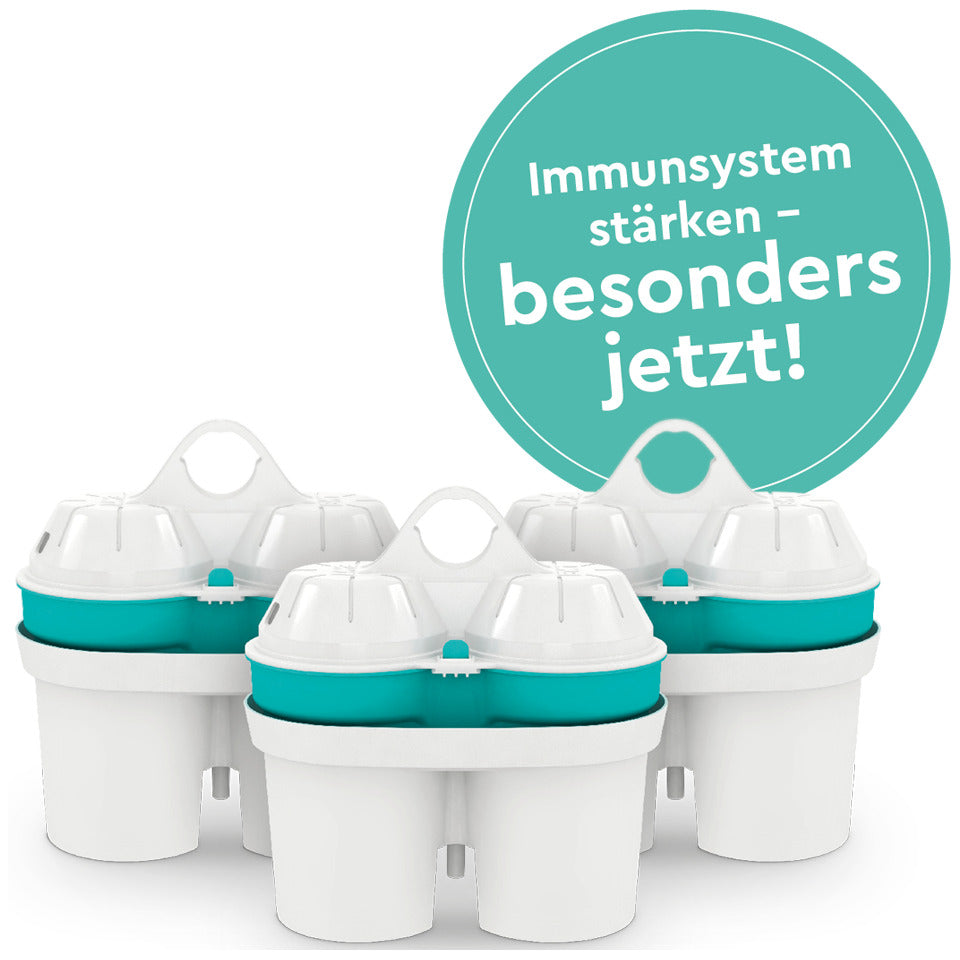 Wasser-Filterpatrone 3er Set Magnesium+Zink, weiß BWT 258617