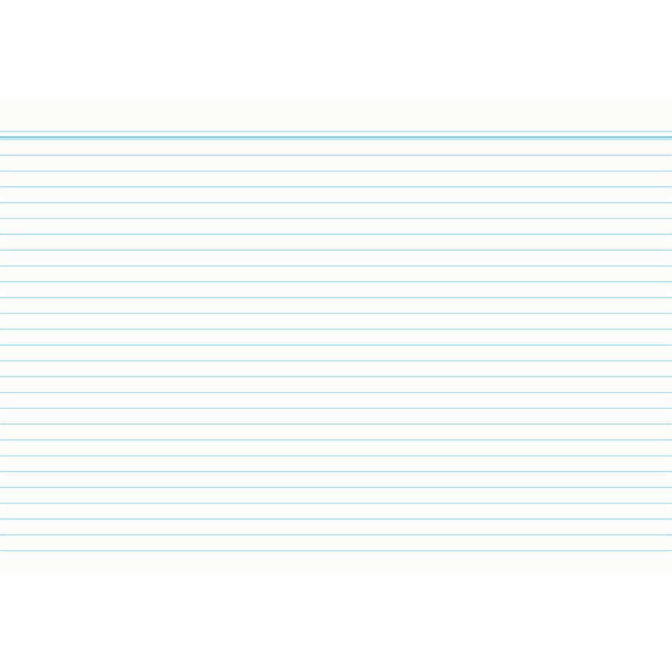 Karteikarte, A5, 170g/m², liniert, 100 Stück, weiß RNK 115050 RNK 115050 liniert