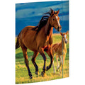 Zeichenmappe Free Horses, 310 x 440mm, A3, Karton RNK 45353 RNK 45353 310x440mm