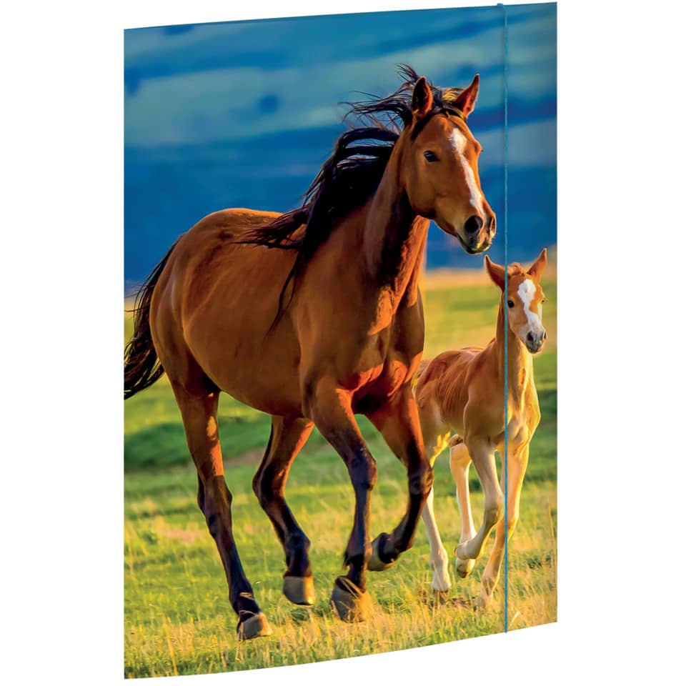 Zeichenmappe Free Horses, 310 x 440mm, A3, Karton RNK 45353 RNK 45353 310x440mm