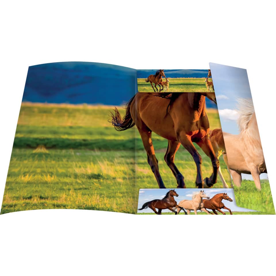 Zeichenmappe Free Horses, 310 x 440mm, A3, Karton RNK 45353 RNK 45353 310x440mm
