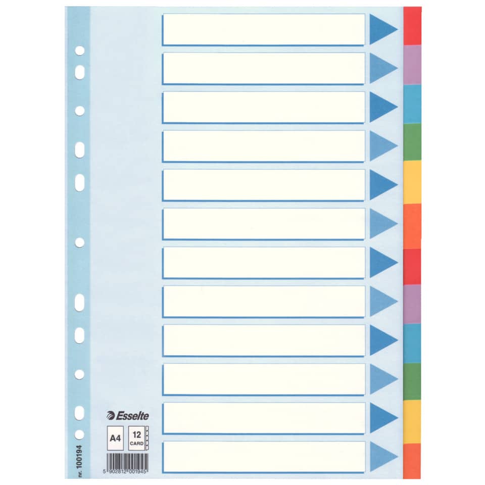 Kartonregister Standard Blanko, A4, Karton, 12 Blatt, weiss ESSELTE 100194 ESSELTE 100194 Karton fbg.Tabs