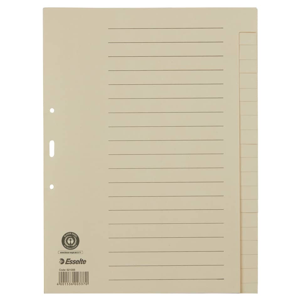 Papierregister Blanko, A4, Papier, 20 Blatt, chamois ESSELTE 621006 ESSELTE 621006 Papier 20tlg.