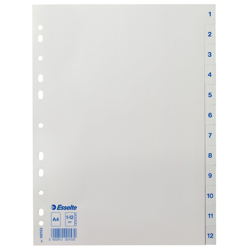 Plastikregister Economy 1-12, A4, PP, 12 Blatt, weiss ESSELTE 100153 ESSELTE 100153 Plastik 12tlg.