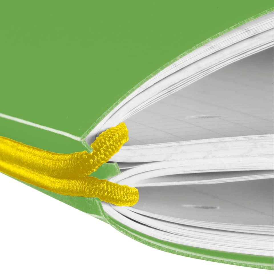 Notizheft my.book flex, A4, 80 Blatt, liniert/kariert, hellgrün HERLITZ 300003352 HERLITZ 300003352 11361458 my.book Fl