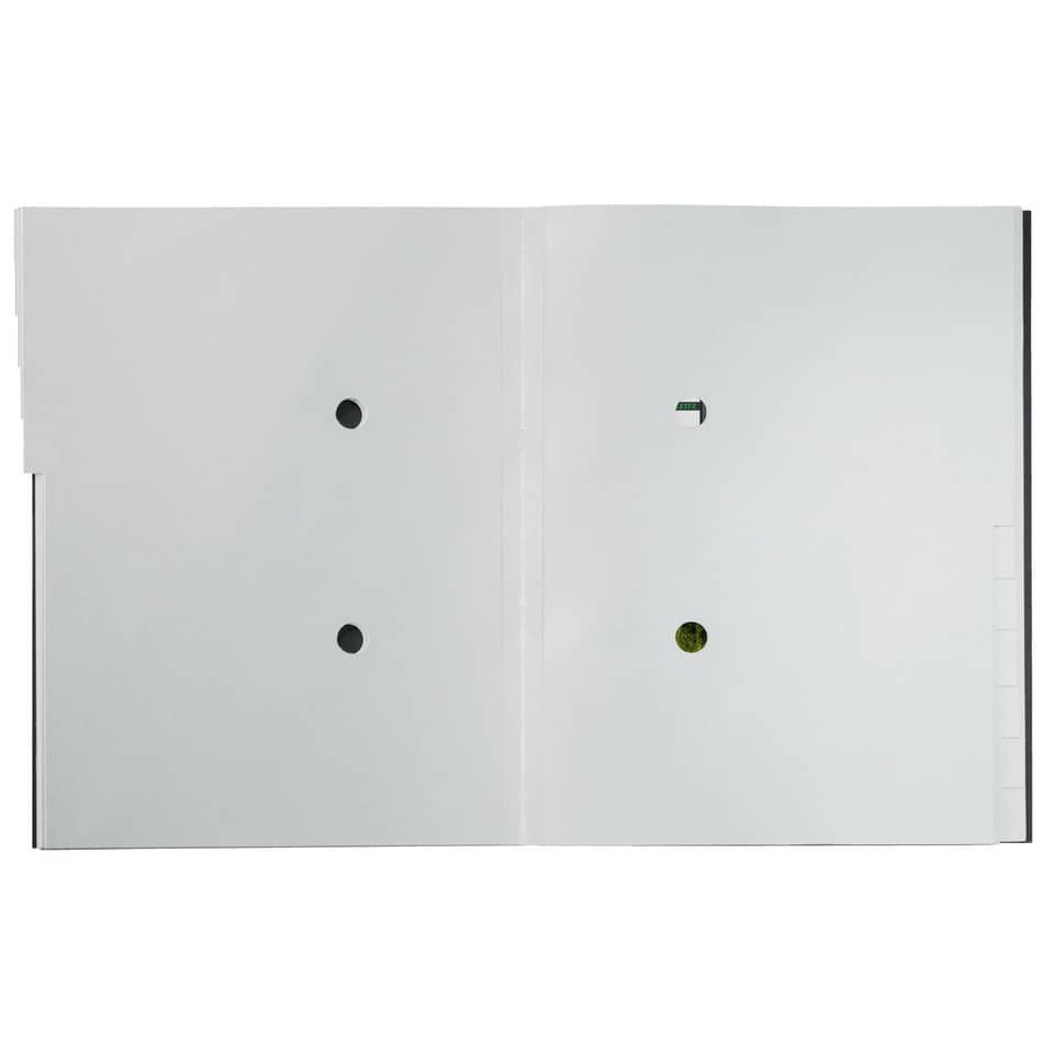 Ordnungsmappe Recycle, 12 Fächer, Karton, schwarz LEITZ 3915-00-95