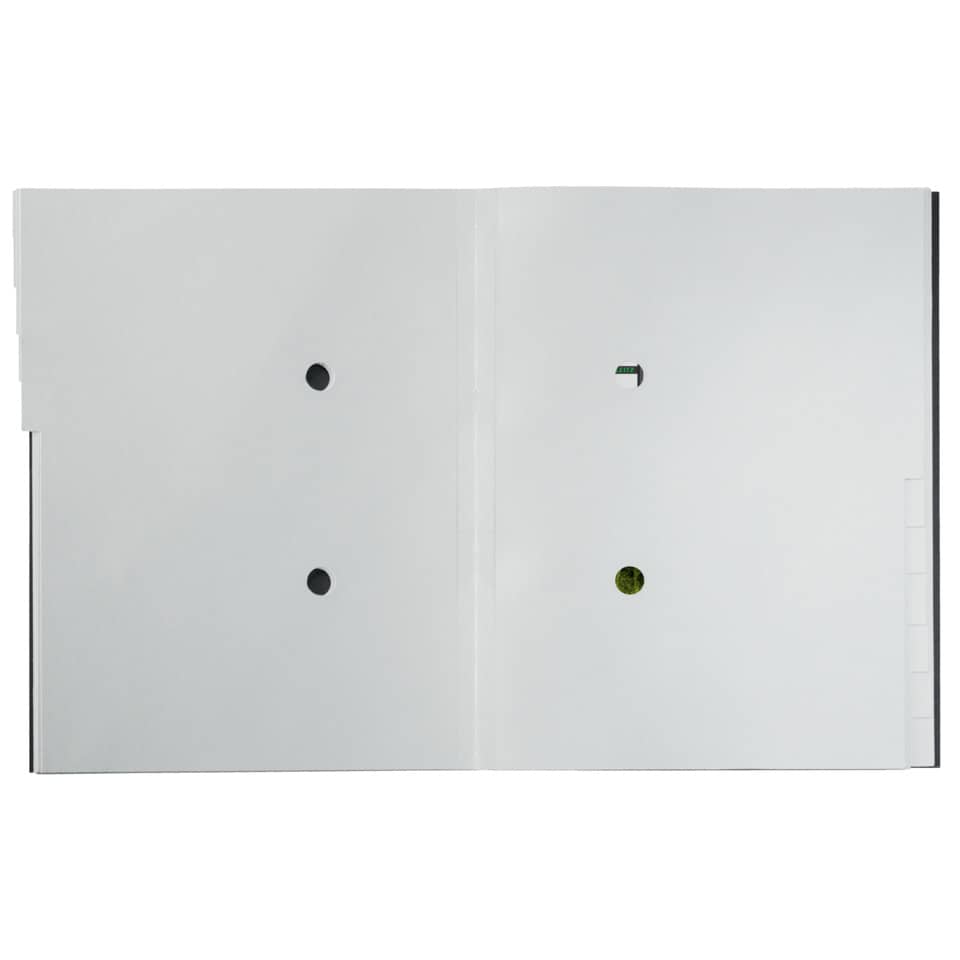 Ordnungsmappe Recycle, 12 Fächer, Karton, schwarz LEITZ 3915-00-95