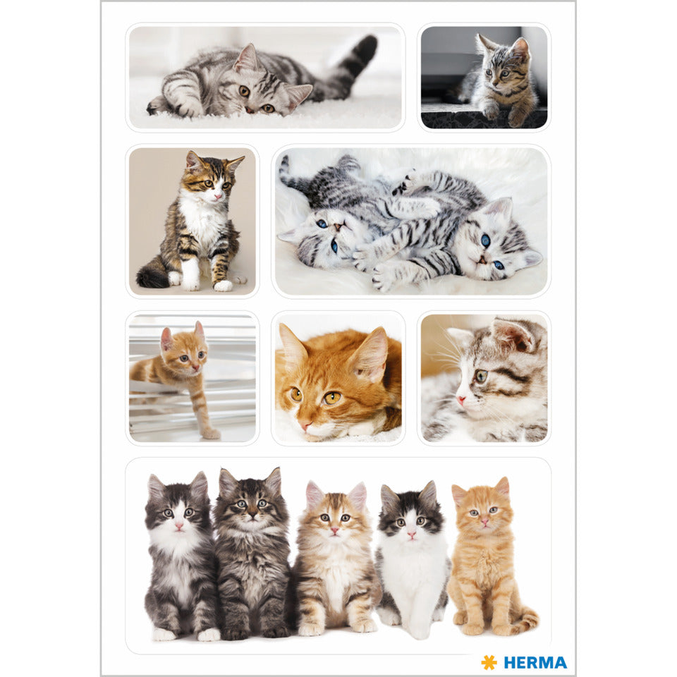 Sticker Katzenkinder, 24 Stück HERMA 15456 HERMA 15456 Decor