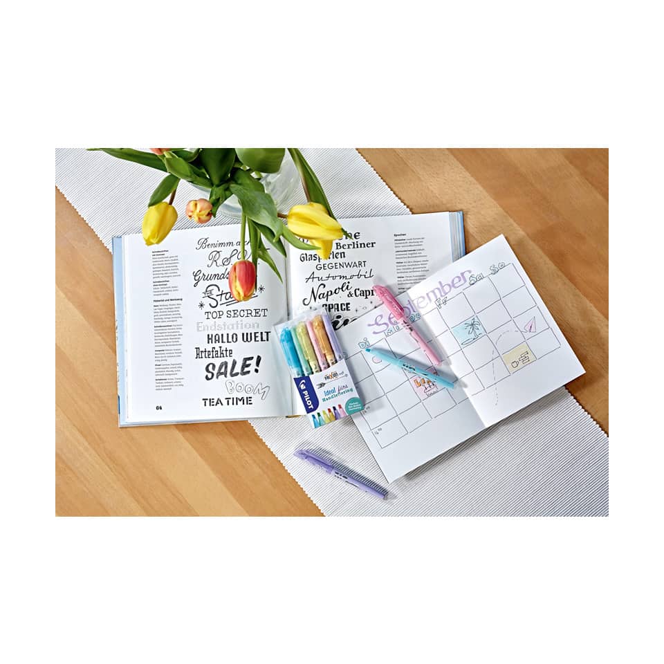Textmarker FriXion Light Soft, 3,8mm, pastellblau  ~ PILOT 4136063 PILOT 4136063 SW-FL-SL